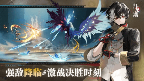 归龙潮安卓版