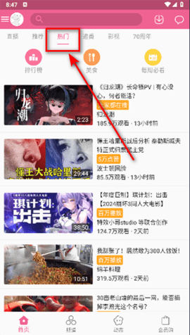 哔哩哔哩精简版