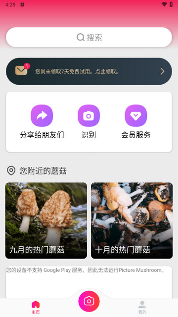 蘑菇识别扫一扫手机版