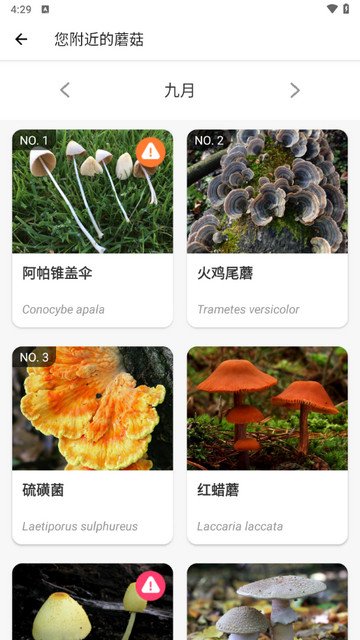 蘑菇识别扫一扫手机版