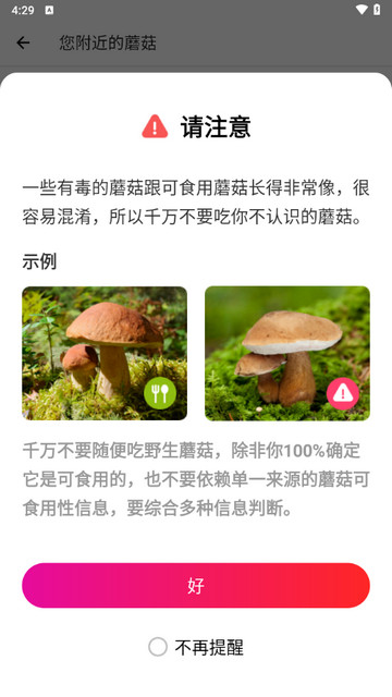 蘑菇识别扫一扫手机版