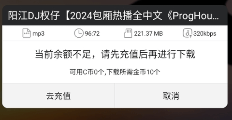 DJ城市串烧2024最新版