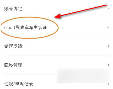 smart汽车官方版