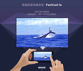极速投屏TV版