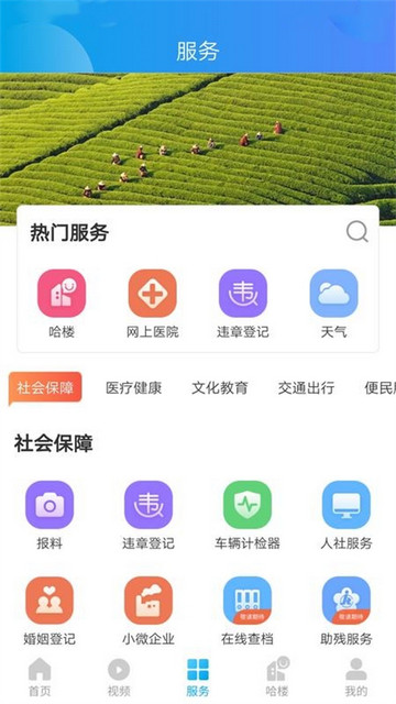 我德清手机版