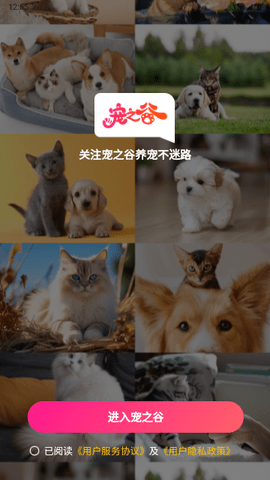 宠之谷手机版