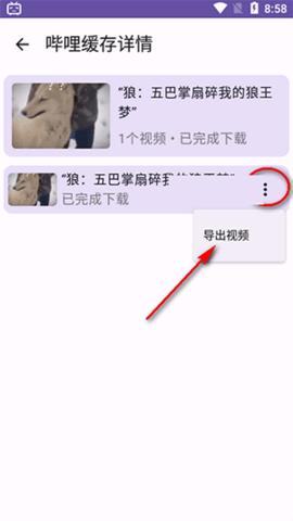 BiliDownOut手机版