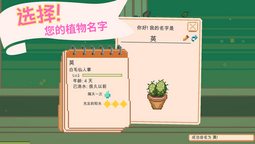 窗口花园(Window Garden)中文版