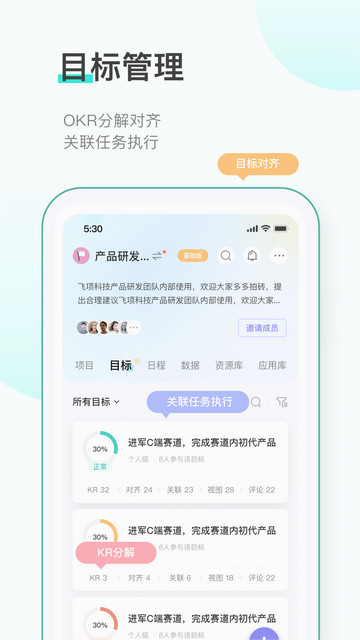 飞项免费版