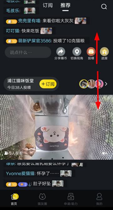 哈啰街猫安卓版