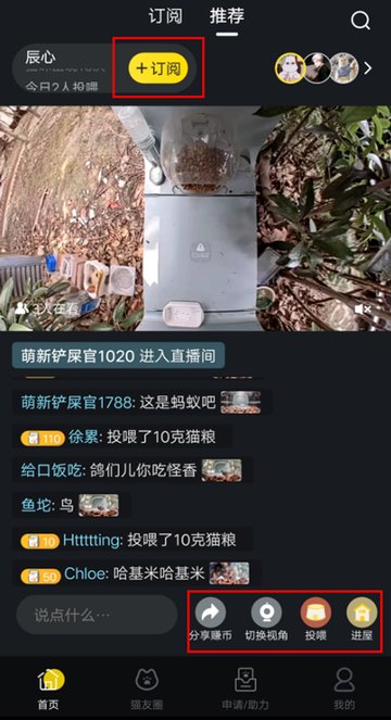 哈啰街猫安卓版