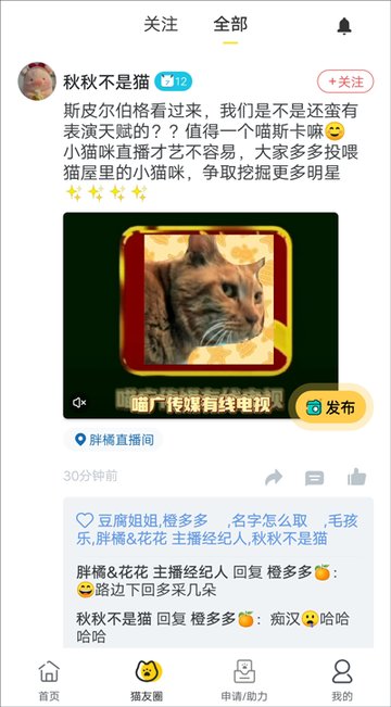 哈啰街猫安卓版