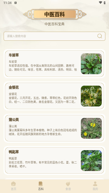倪海厦经络穴位图释最新版