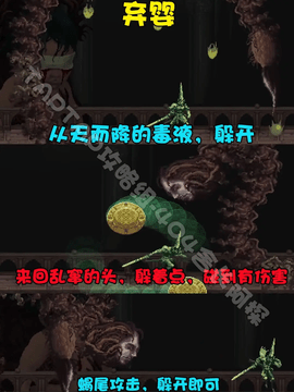 神之亵渎2025最新版
