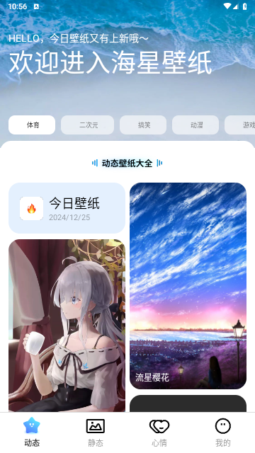 海星壁纸2025最新版