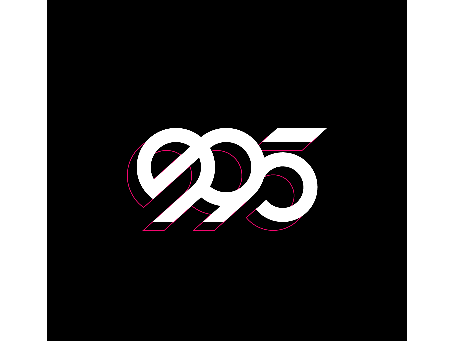 新995鉴定最新版