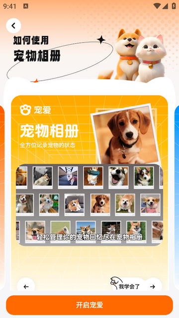 宠爱免费版