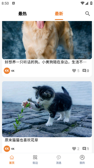 宠物街官方版