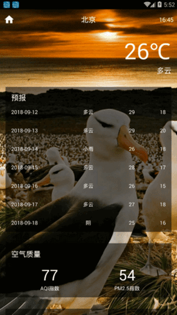 闪电虎天气预报最新版