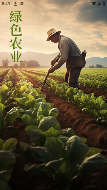 江礼情安卓版