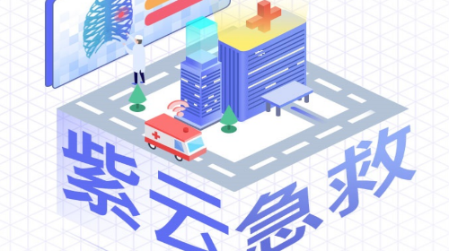 紫云智救官方版