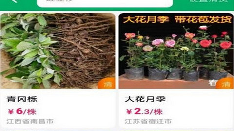 春种app