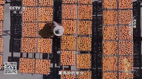 清风TV电视盒子最新版