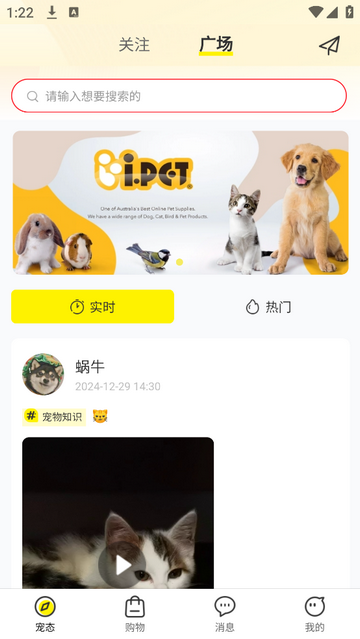 i宠安卓版app