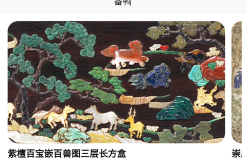 番鸭app最新版