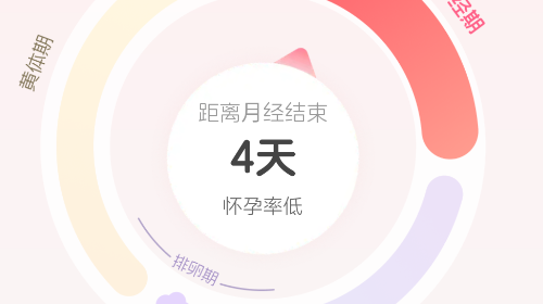 暖悦2025最新版