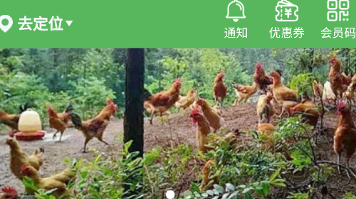 廉清最新会员版