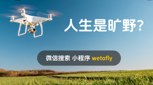 百灵纯净无广告版