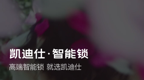 凯迪仕管家官方版app