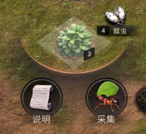 小小蚁国37手机版