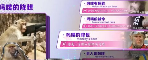 节奏比兜游戏官方正版