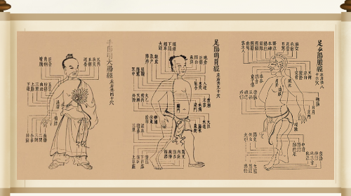 中医经络穴位图谱最新免费版