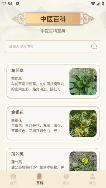 中医经络穴位图谱最新免费版