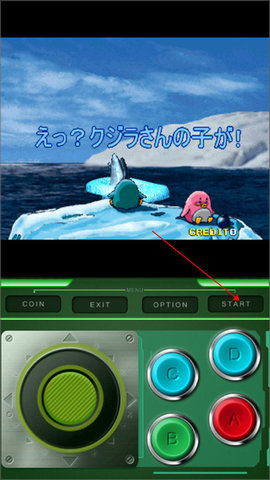 企鹅兄弟官方正版