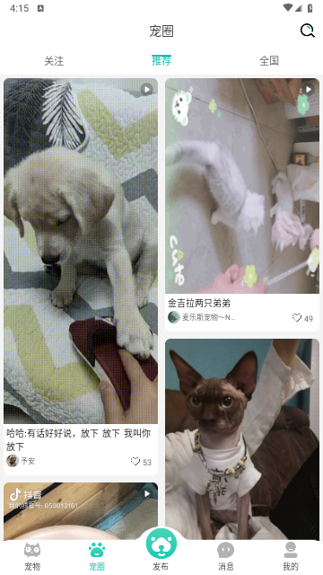 宠都app破解版