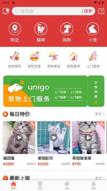 宠物市场2025最新版