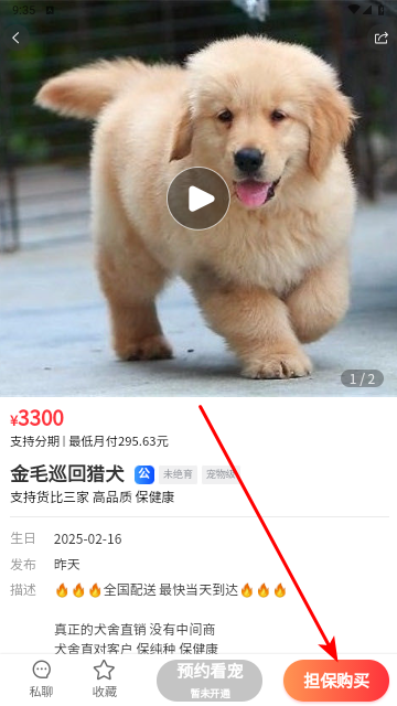 宠物市场2025最新版