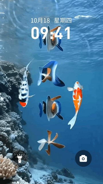 锦鲤金鱼壁纸最新安卓版