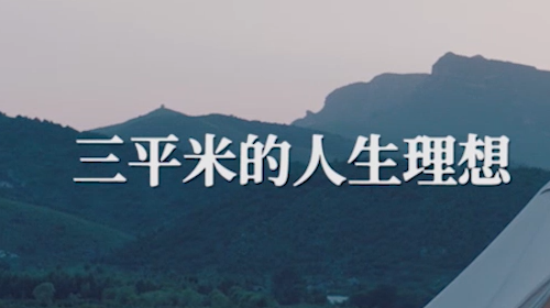 枫叶出行APP版