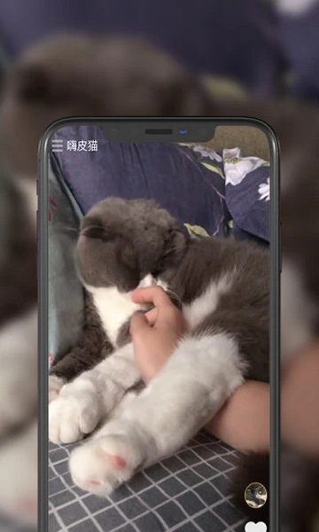 嗨皮猫app最新版