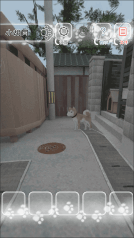迷途猫2025最新版