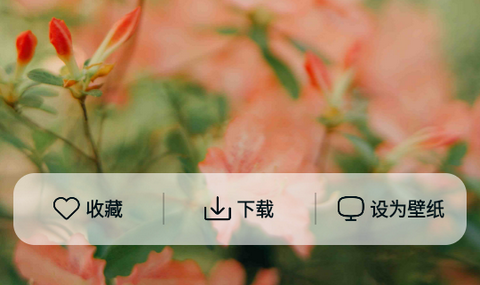 跃动壁纸app官方版