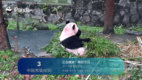 功夫TV最新版