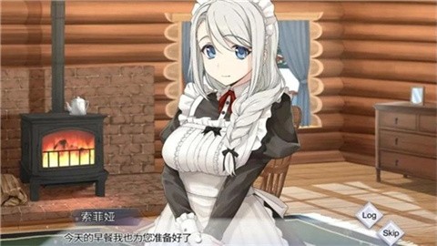 我与索菲亚的秘密中文完整版