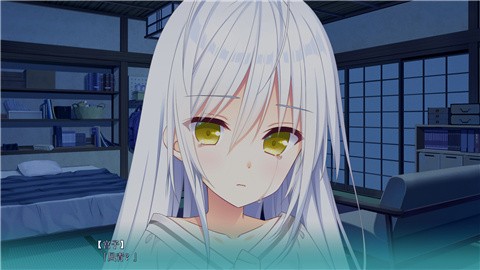 恋爱成双安卓直装版