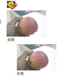 我形我速6(附序列号)